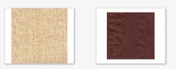 Trapezomantila JUTA NIBA