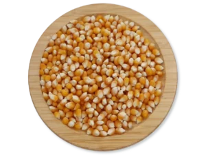 kalampoiki argentinis